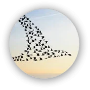 Seamless AI Team Scaling Abstract illustration showing seamless scaling of AI development teams without re-explaining requirements