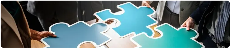 Expert Dynamics 365 Integration Services