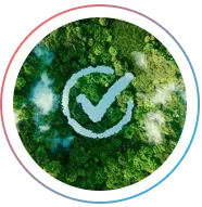 Sustainability Check