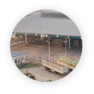 Case study of Java-based auction system in Saudi Arabia using Spring Boot and WebSocket for bidding and shipping management