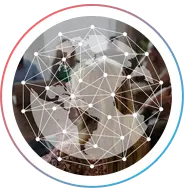 Global Media Connectivity