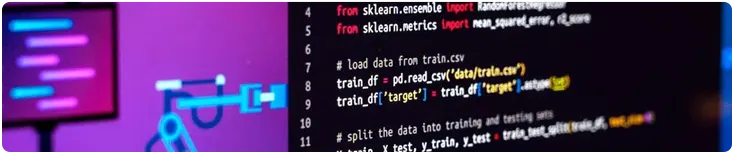 Custom.NET Development