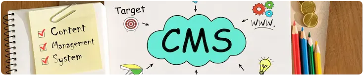 CMS App Development