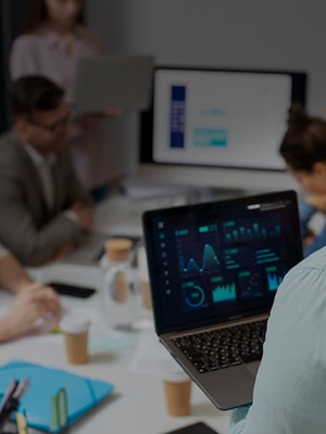 ERP Testing Services