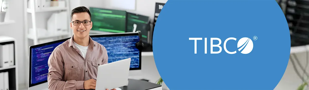 Hire CubicWeb Developers