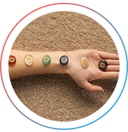 Holistic Understanding