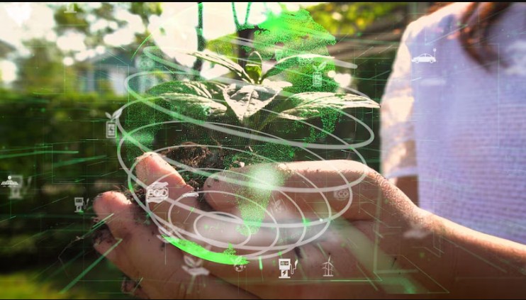 How Can AI Help Climate Change Solutions 5 Biodiversity Management