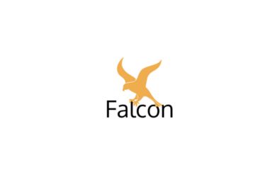 Falcon Falcon