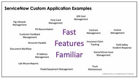 Customization Services