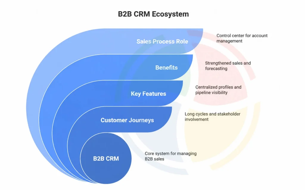 B2B CRM breakdown infographic