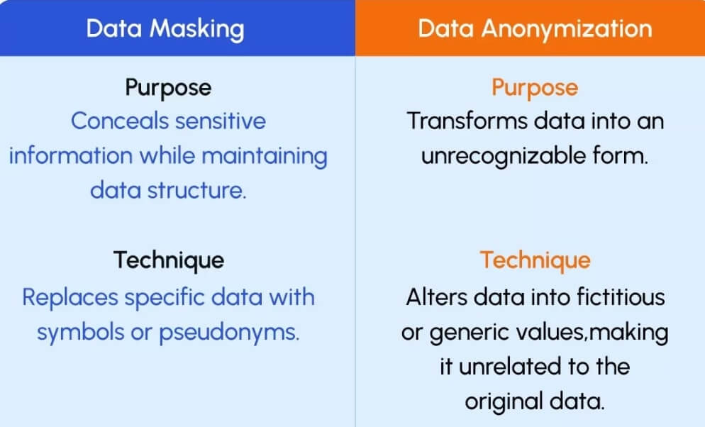 Data being masked or anonymized