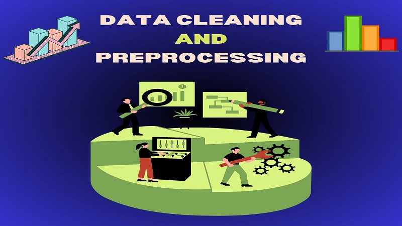 Data Cleaning and Preprocessing