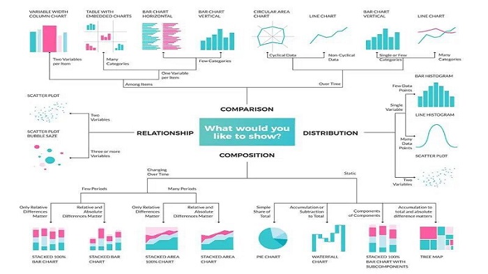 Data Visualization