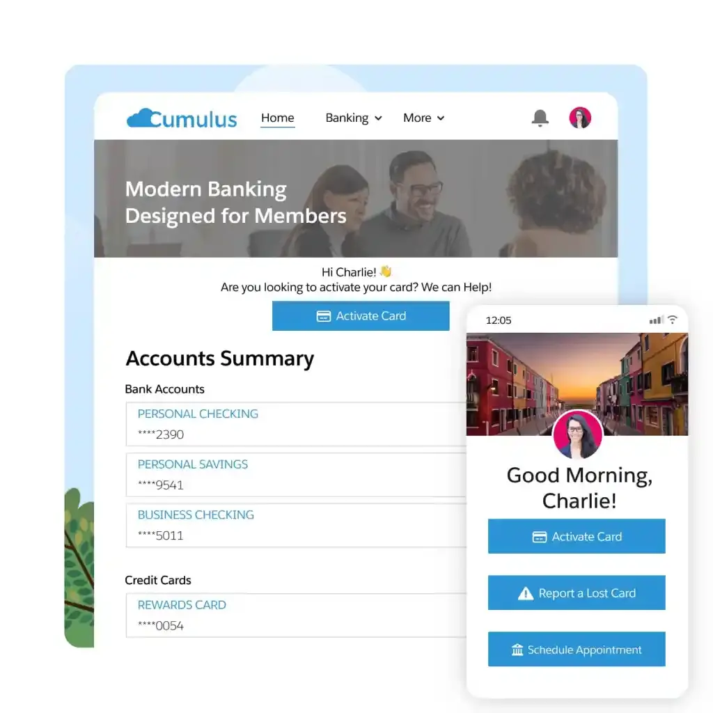 Customer self-service portal in Salesforce