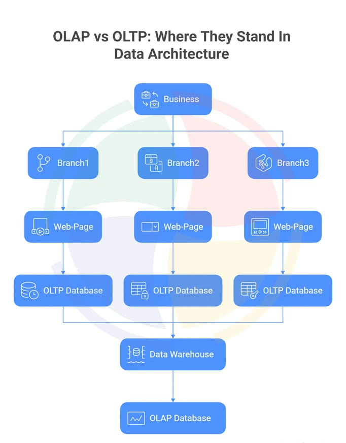An OLAP vs OLTP diagram showing the positions of OLAP and OLTP in data architecture, from business branches to OLAP database.
